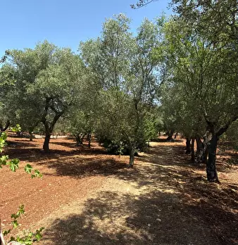 Foto annuncio 2
