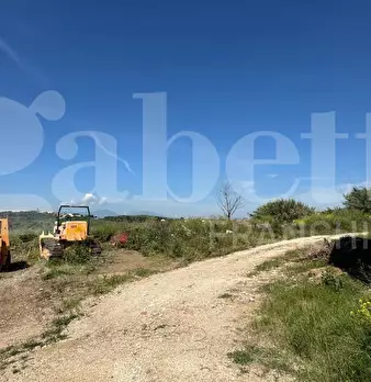 Foto annuncio 6