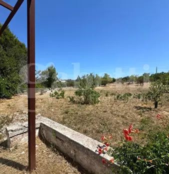 Foto annuncio 14