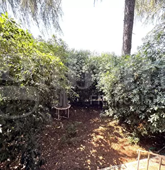 Foto annuncio 27