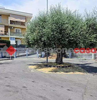 Foto annuncio 25