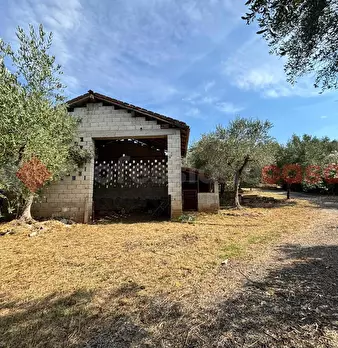 Foto annuncio 2
