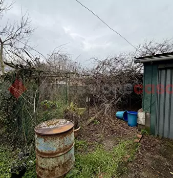 Foto annuncio 47