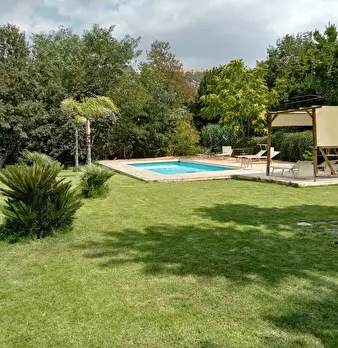 Foto annuncio 13