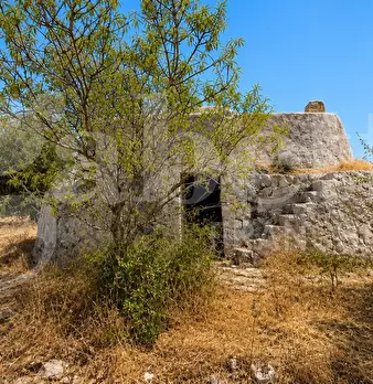 Foto annuncio 1