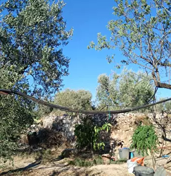 Foto annuncio 7