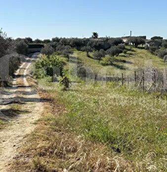 Foto annuncio 42