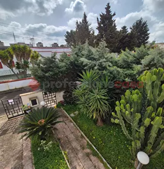 Foto annuncio 18
