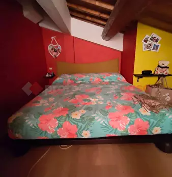 Foto annuncio 16