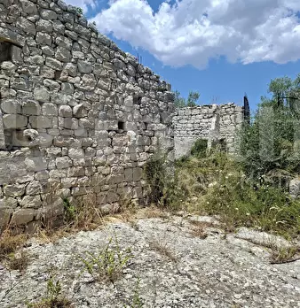 Foto annuncio 10