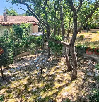 Foto annuncio 7