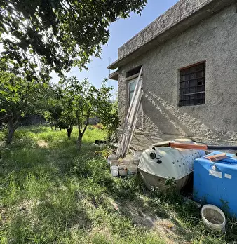 Foto annuncio 11