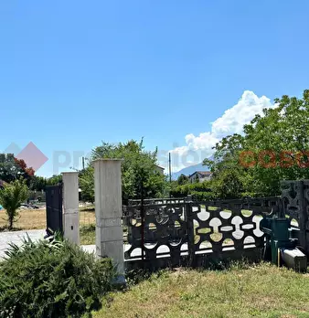 Foto annuncio 9