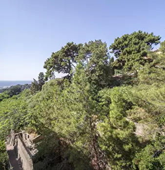 Foto annuncio 20