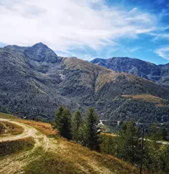 Foto annuncio 18