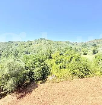 Foto annuncio 33