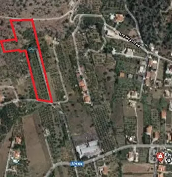 Foto annuncio 5