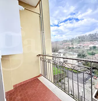 Foto annuncio 47