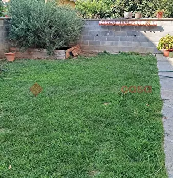 Foto annuncio 22