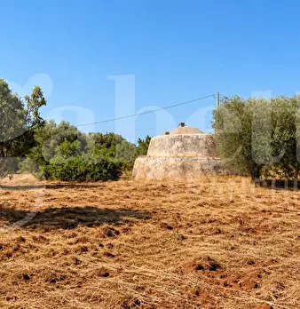 Foto annuncio 9