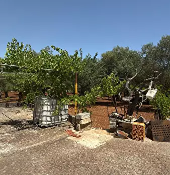 Foto annuncio 3