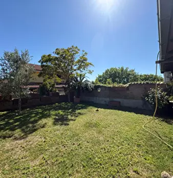 Foto annuncio 10