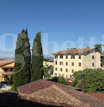 Foto annuncio 43