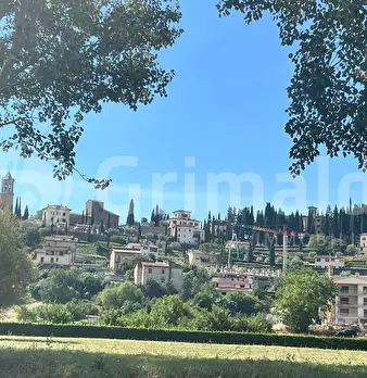 Foto annuncio 15