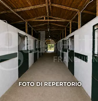 Foto annuncio 7