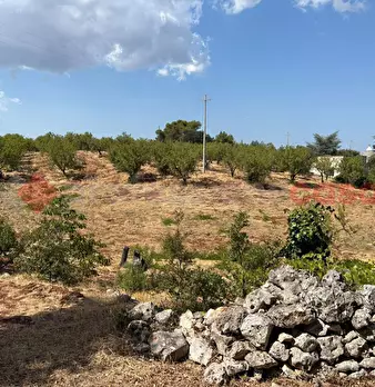 Foto annuncio 11