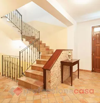 Foto annuncio 12