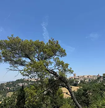 Foto annuncio 39