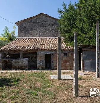 Foto annuncio 10