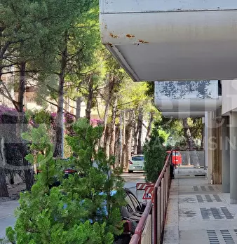 Foto annuncio 40
