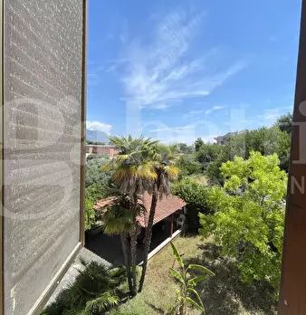 Foto annuncio 35