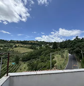 Foto annuncio 18