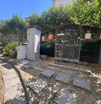 Foto annuncio 22