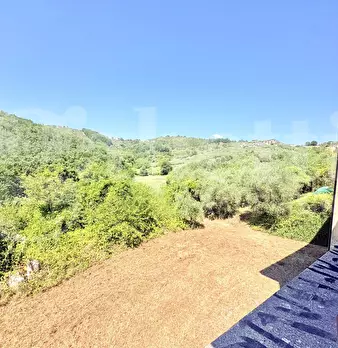Foto annuncio 31