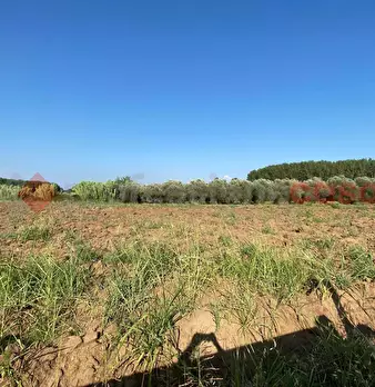 Foto annuncio 19