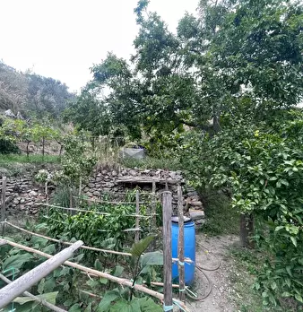 Foto annuncio 34