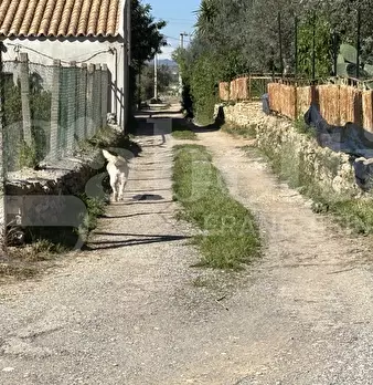 Foto annuncio 37