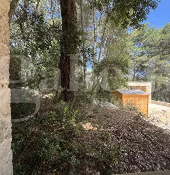 Foto annuncio 17