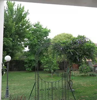 Foto annuncio 9