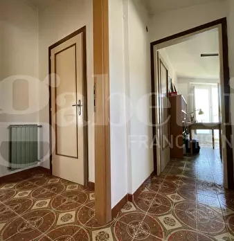 Foto annuncio 21