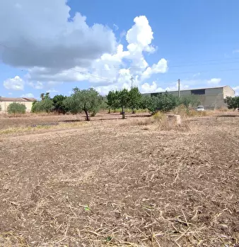 Foto annuncio 13