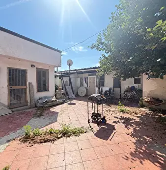 Foto annuncio 11