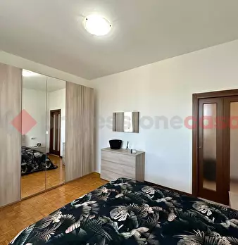 Foto annuncio 19