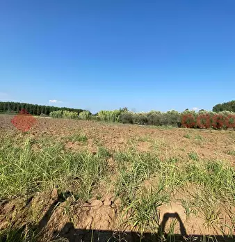 Foto annuncio 23