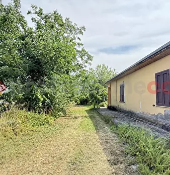 Foto annuncio 30