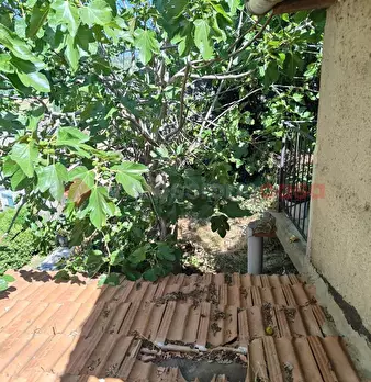 Foto annuncio 20